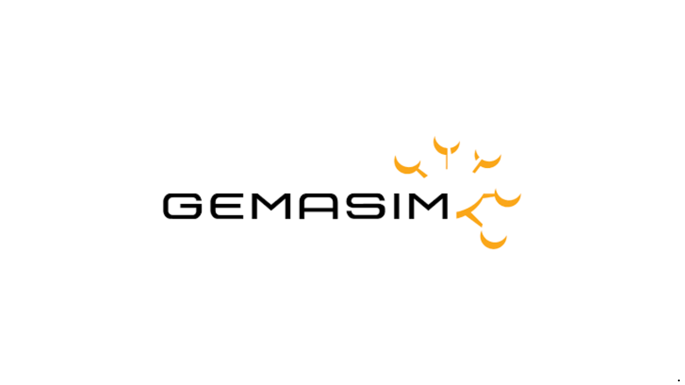 You are currently viewing GemaSim 2.0